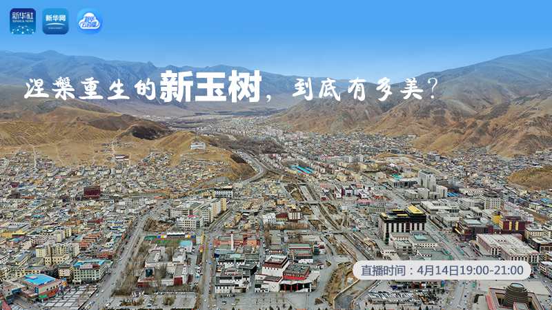 涅槃重生的新玉樹(shù)，到底有多美？