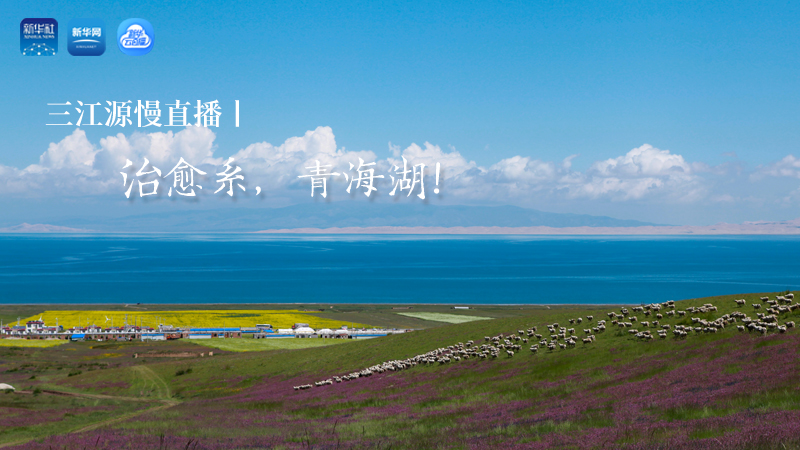 三江源慢直播丨治愈系，青海湖！