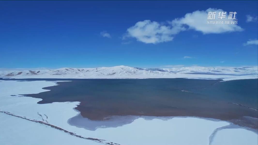 青?，敹啵憾喾N珍稀野生動物亮相黃河源頭
