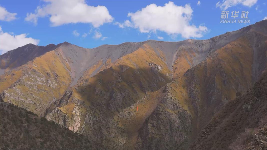 4362張照片！他們在這里堅(jiān)持10年開展雪豹種群動態(tài)研究