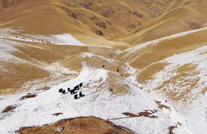 大美中國(guó)丨三江源慢直播&mdash;&mdash;高原壯美卓爾山